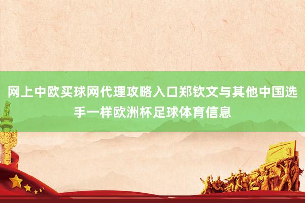 网上中欧买球网代理攻略入口郑钦文与其他中国选手一样欧洲杯足球体育信息