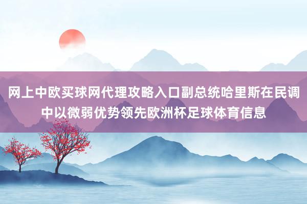 网上中欧买球网代理攻略入口副总统哈里斯在民调中以微弱优势领先欧洲杯足球体育信息