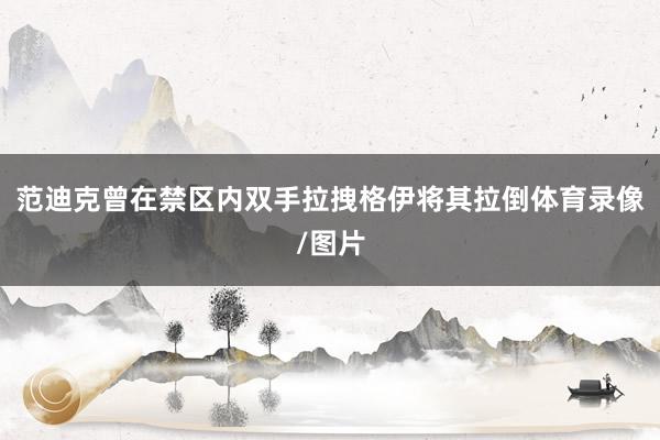 范迪克曾在禁区内双手拉拽格伊将其拉倒体育录像/图片