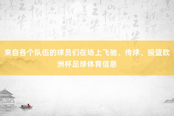 来自各个队伍的球员们在场上飞驰、传球、投篮欧洲杯足球体育信息